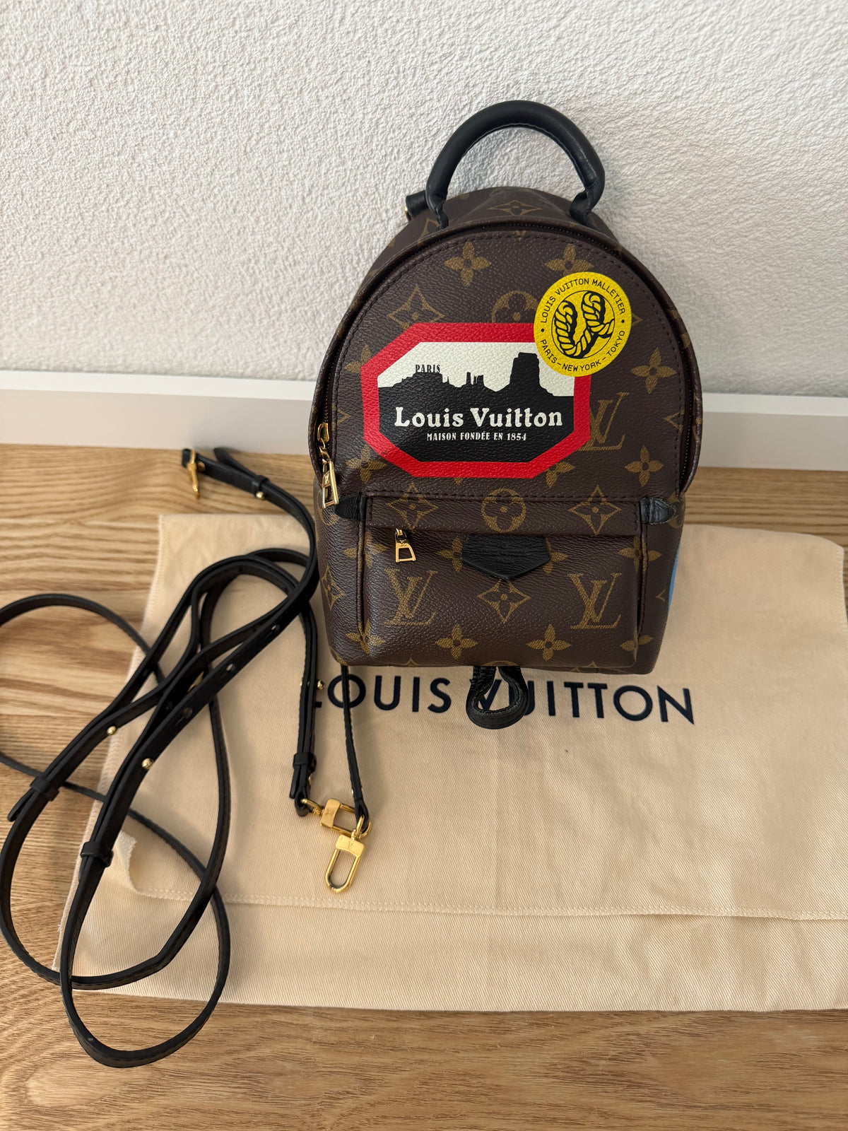 Louis Vuitton – Sac à dos Palm Springs Mini