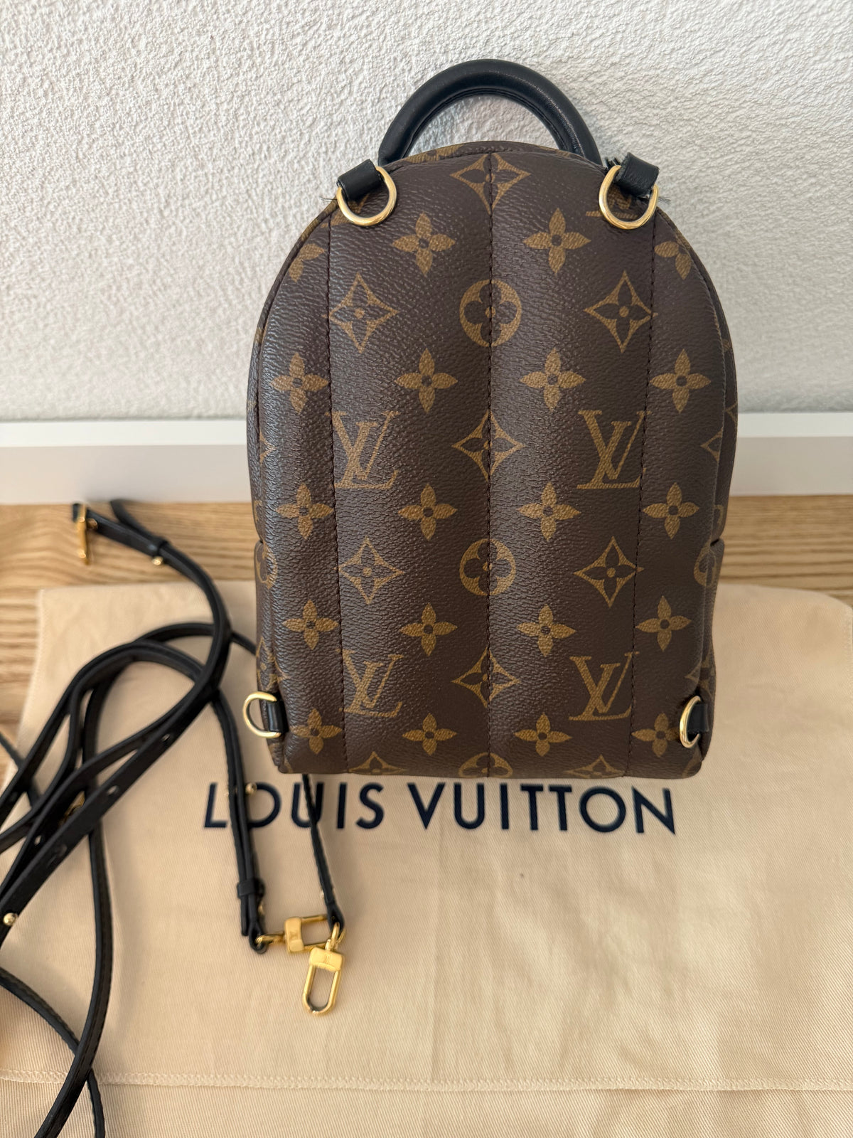 Louis Vuitton – Sac à dos Palm Springs Mini