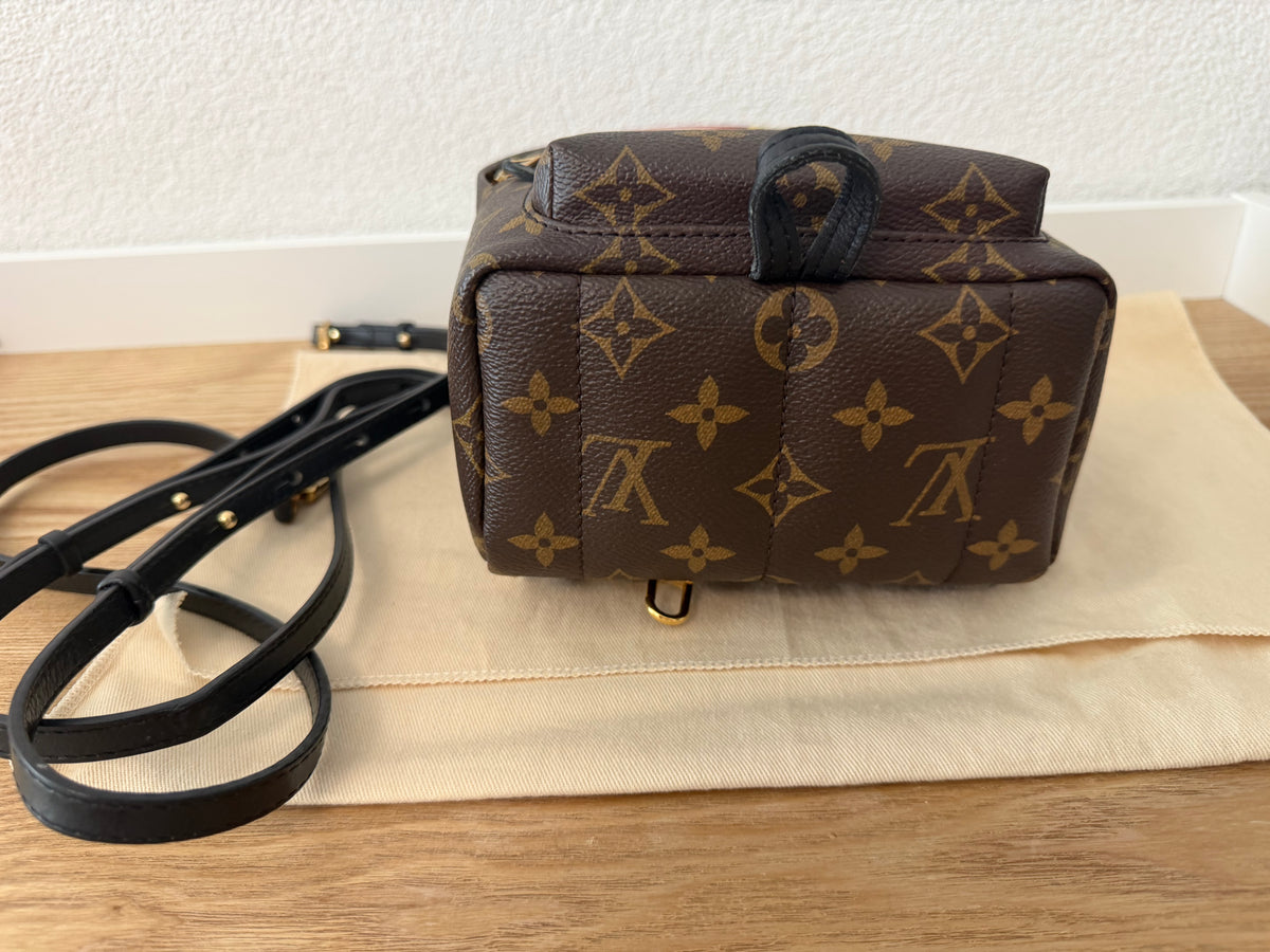 Louis Vuitton – Sac à dos Palm Springs Mini