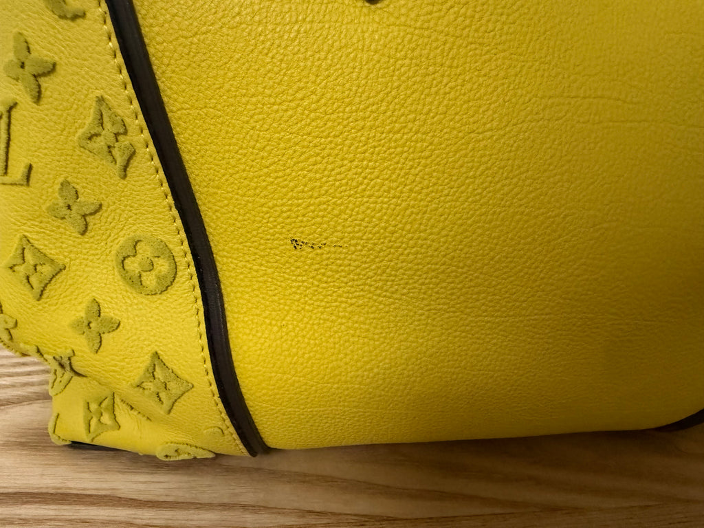 Louis Vuitton- Sac à main en cuir